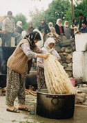 Vegetable dyeing - DOBAG project.