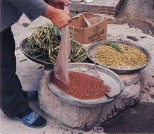 Prepared madder, dyer's weld and chamomile are ready for adding to dye pots.