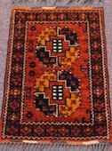Afghanistan Gul-i-gul