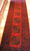 Afghanistan Taghan
