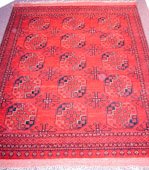 Afghanistan Gul-i-Gul
