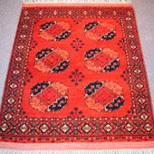 Afghanistan Gul-i-Gul