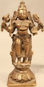 India Shiva