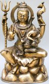 India Shiva
