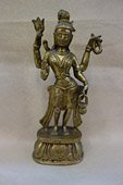 India Shiva