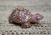 India Tortoise