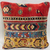 Turkey Pillow
