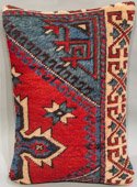 Turkey Pillow