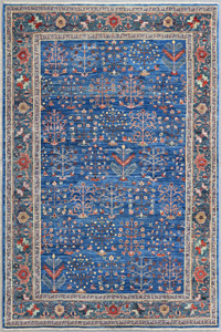 5UY296 Afghanistan Bakshaish 06'03"X09'04"