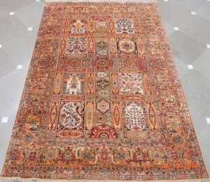 H6499 India Bakhtiari 05'00"X07'04"