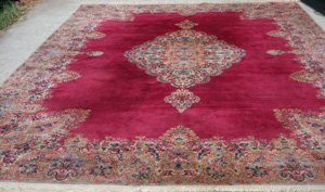 KZPJ769 N. America Kerman 10'00"X14'00"