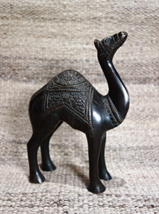5956 India Camel 00'07"