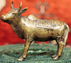 KZEF12 India Nandi 00'05"
