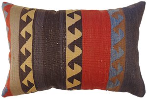KZPP906 Turkey Pillow 00'16"X00'24"