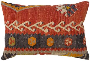 KZPP907 Turkey Pillow 00'16"X00'24"