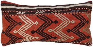 KZPP908 Turkey Pillow 00'12"X00'24"
